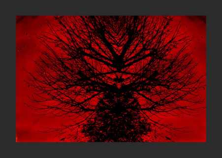 ROUGE5