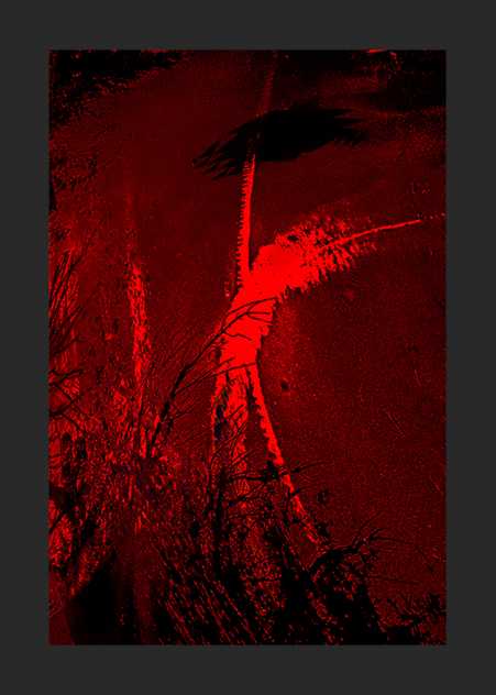 Rouge7